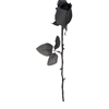 Rose with Black Stem 21"