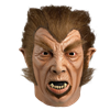 Werewolf Of London Mask