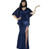 Sorceress Blue Adult Plus Size Costume