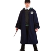Vintage Slytherin Robes