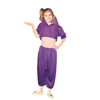Harem Girl Purple Child Costume Size Medium
