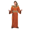 Wiseman (3pc) Adult Costume