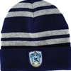 Harry Potter Ravenclaw Knitted Hat