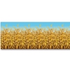 Cornstalks Backdrop 4'x30'