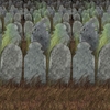Graveyard Backdrop 4'x30'