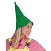 Pointed Hat Felt
