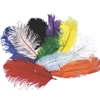 Ostrich Plume 12-15" Blue