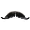 Pro Mustache 2012 European