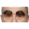 Bushy Eyebrows Brown