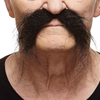 Imperial Moustache