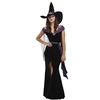 Elegant Witch Adult Size Medium