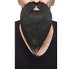 Philosopher Beard
