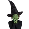 Elphaba Hat