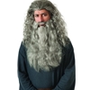 Gandalf LotR Wig & Beard Gray