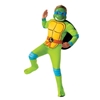 Leonardo Classic 4pc TMT Child Costume