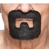 Inmate Beard