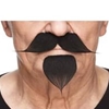 Mustache With a Goatee Handlebar
