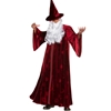 Stargazer Wizard Adult Costume