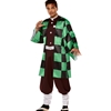 Demon Slayer Tanjiro Adult Costume