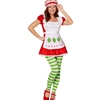 Strawberry Shortcake Adult Costume