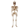 36 Inch Articulated Skeleton Decoration