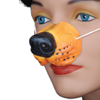 Brown Dog Nose