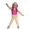 Skye Classic Toddler Costume