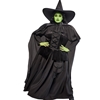 Wizard of Oz Wicked Witch Adult Costume Plus Size