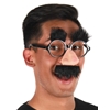 Groucho Marx Costume Glasses