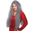 28" Long Grey Wig