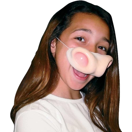 Cow Animal Nose