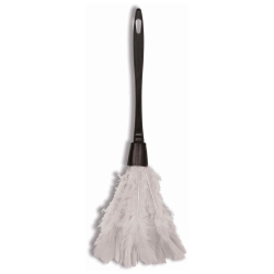 Feather Duster White