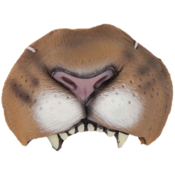 Lion Animal Nose
