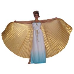 Gold Theatrical Wings Cape