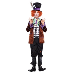 Hatter Madness Adult Costume