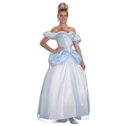 Storybook Princess Adult Costume