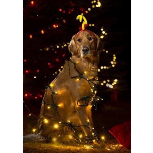 The Grinch Max Headband The Costumer